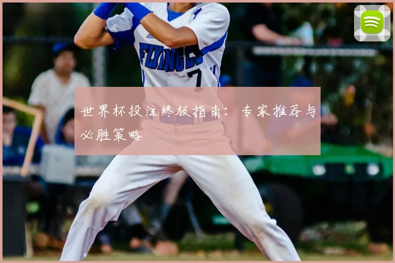 世界杯投注终极指南：专家推荐与必胜策略