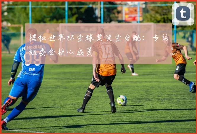 揭秘世界杯金球奖奖金分配:专访组委会核心成员