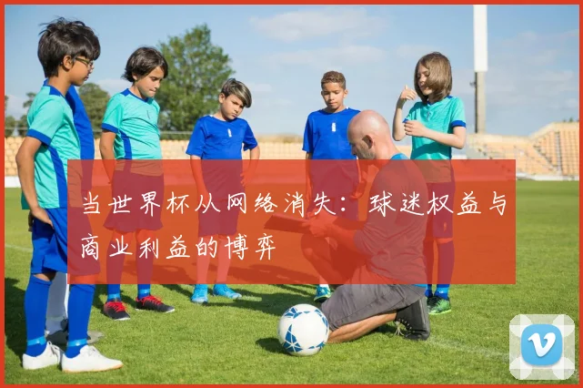 当世界杯从网络消失:球迷权益与商业利益的博弈