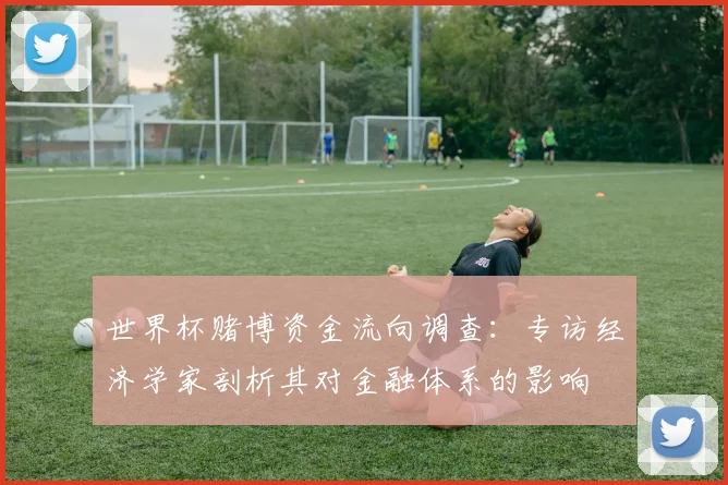 世界杯赌博资金流向调查：专访经济学家剖析其对金融体系的影响
