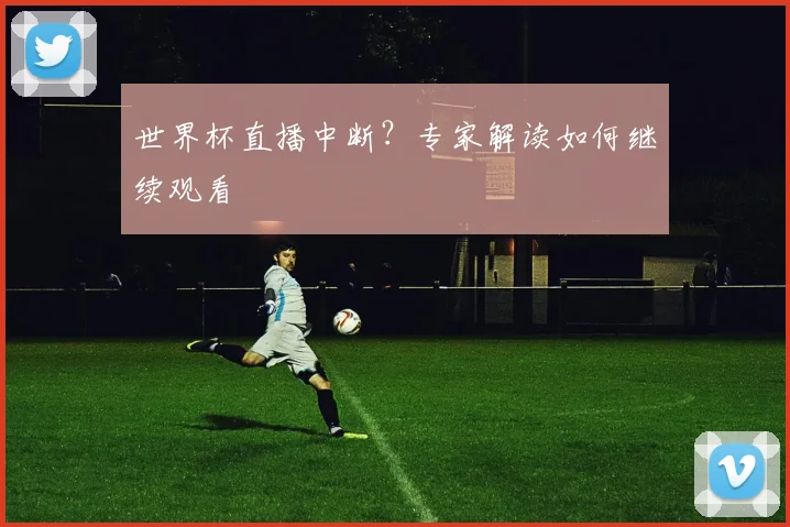 世界杯直播中断？专家解读如何继续观看